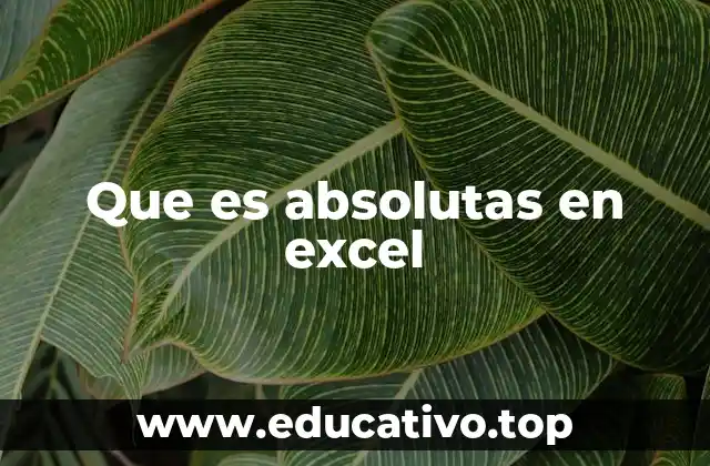 Que es absolutas en excel