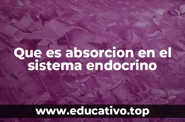 Que es absorcion en el sistema endocrino