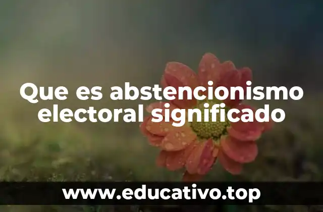 Que es abstencionismo electoral significado