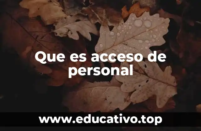Que es acceso de personal