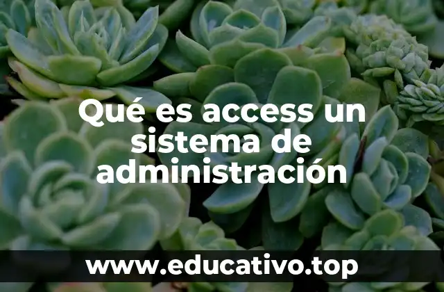 Características clave de Access como herramienta de gestión de bases de datos