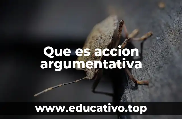 Que es accion argumentativa