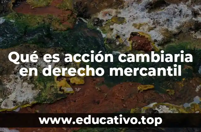 Qué es acción cambiaria en derecho mercantil