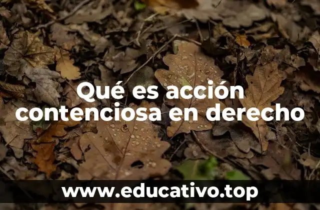 La importancia de las acciones contenciosas en el sistema legal