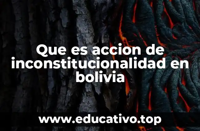 Que es accion de inconstitucionalidad en bolivia