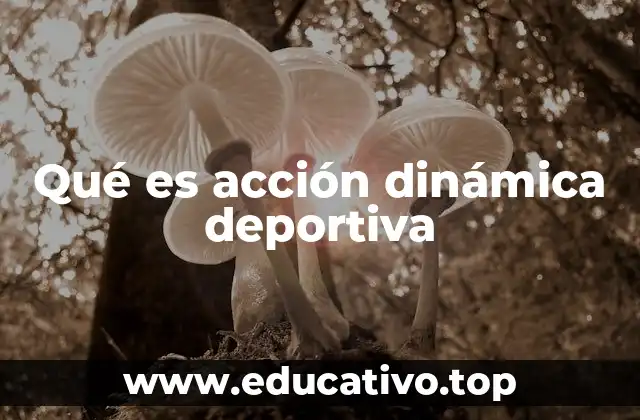 Qué es acción dinámica deportiva