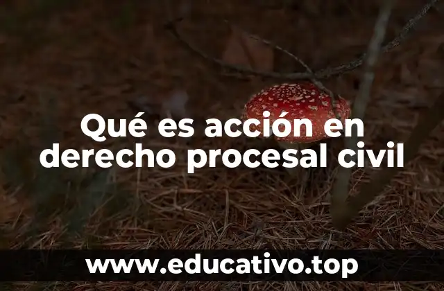 La acción como derecho fundamental en el proceso civil