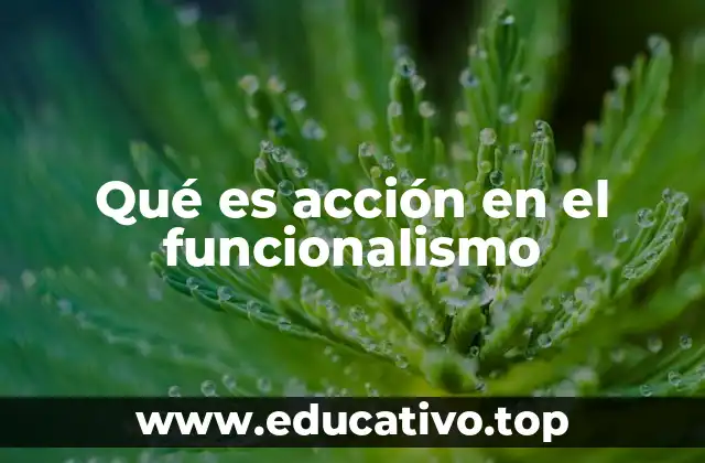 Qué es acción en el funcionalismo