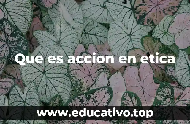 Que es accion en etica