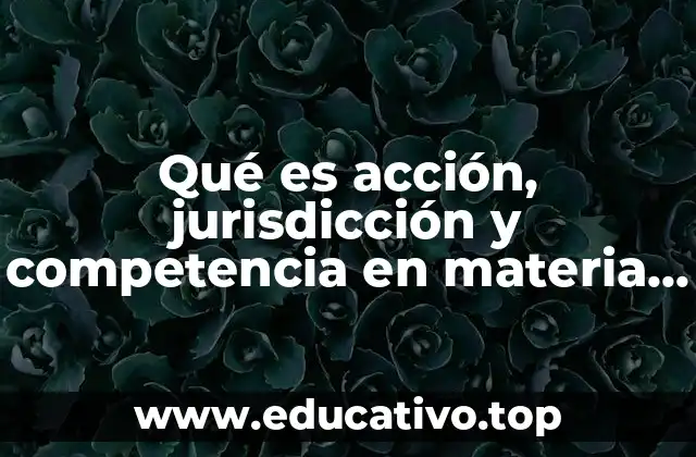 Qué es acción, jurisdicción y competencia en materia procesal