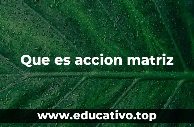 Que es accion matriz