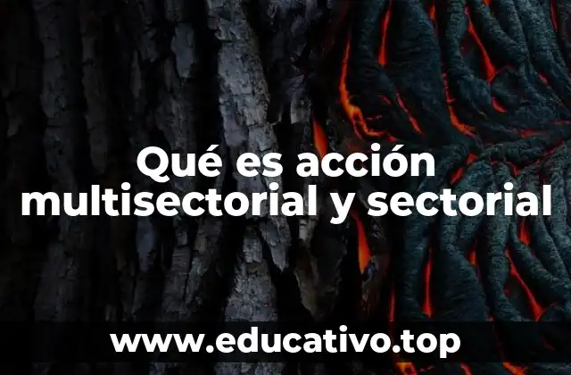 Qué es acción multisectorial y sectorial