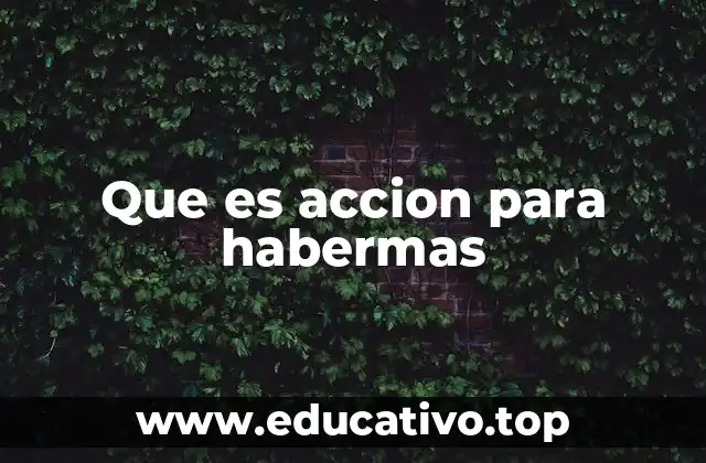 Que es accion para habermas