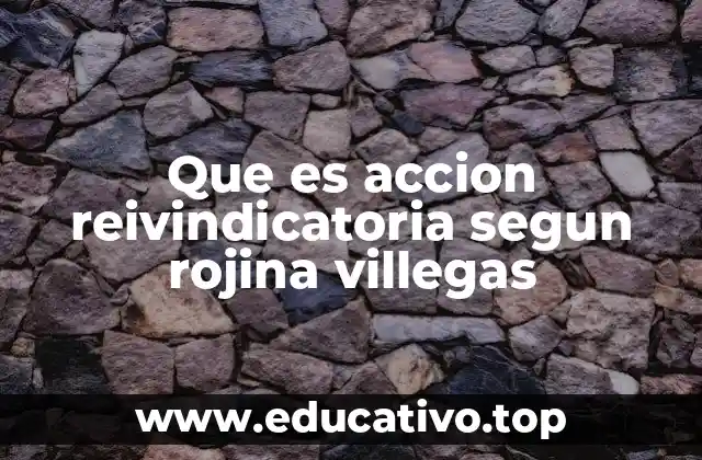 Que es accion reivindicatoria segun rojina villegas