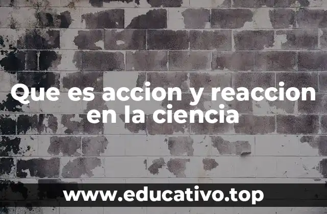 Que es accion y reaccion en la ciencia