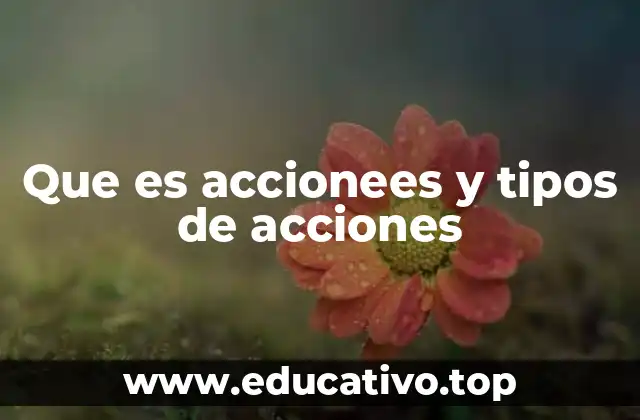 Que es accionees y tipos de acciones