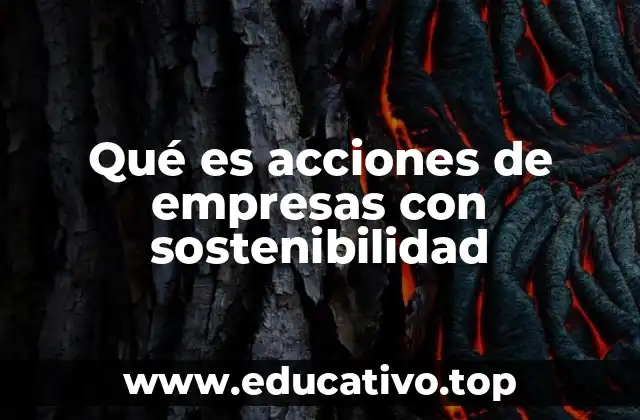 Qué es acciones de empresas con sostenibilidad