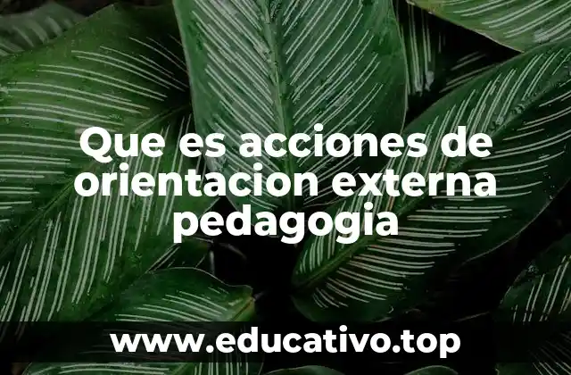 Que es acciones de orientacion externa pedagogia