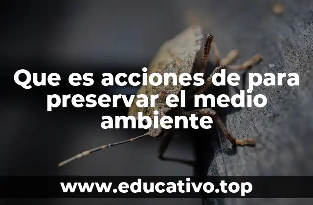 Que es acciones de para preservar el medio ambiente