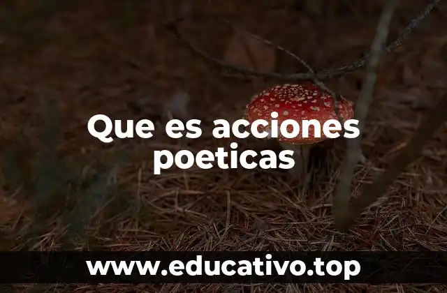 Que es acciones poeticas
