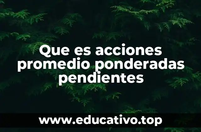 Que es acciones promedio ponderadas pendientes