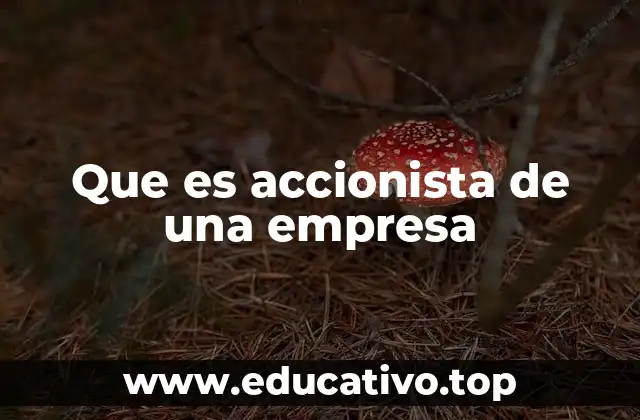 Que es accionista de una empresa