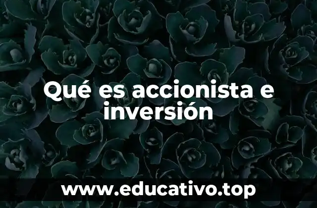Qué es accionista e inversión