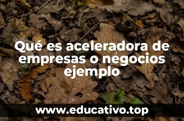 Qué es aceleradora de empresas o negocios ejemplo