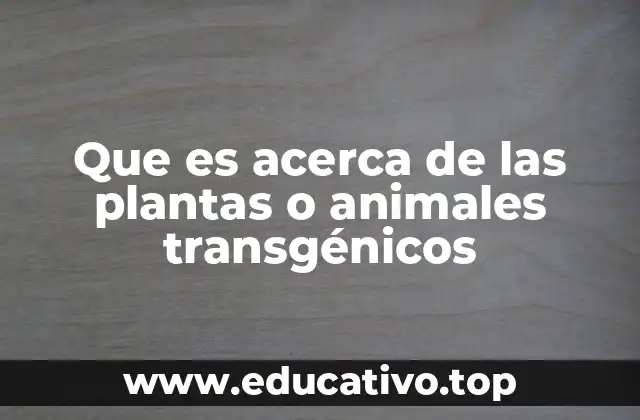 Que es acerca de las plantas o animales transgénicos