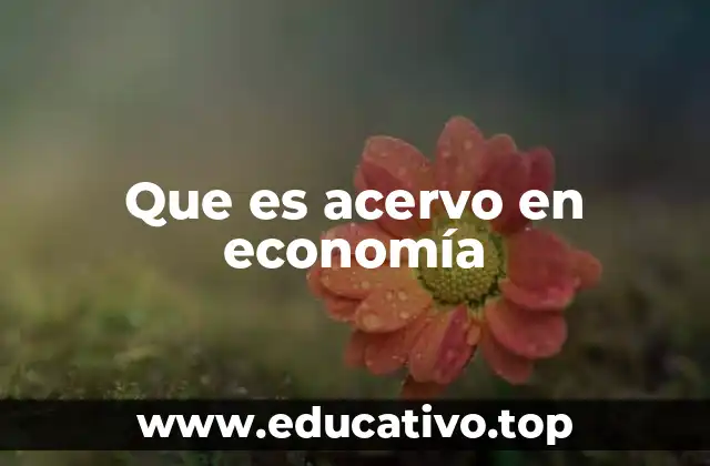 Que es acervo en economía