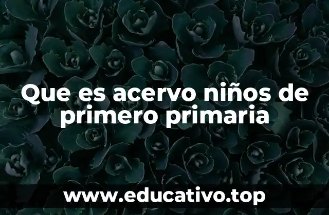 Que es acervo niños de primero primaria