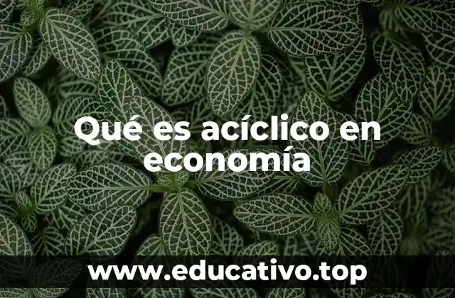 Qué es acíclico en economía