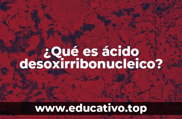 ¿Qué es ácido desoxirribonucleico?
