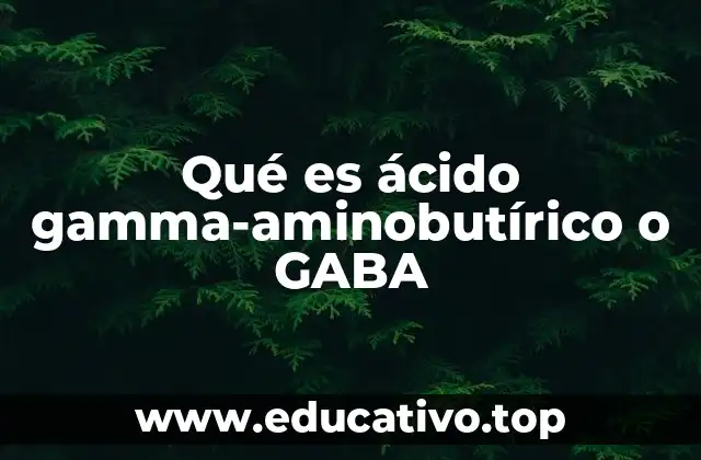 La importancia del GABA en el equilibrio neurológico