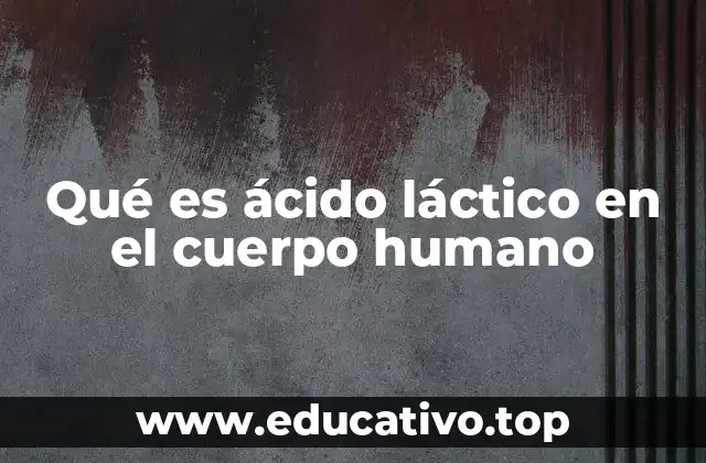 Qué es ácido láctico en el cuerpo humano