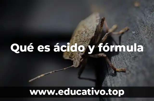 Qué es ácido y fórmula