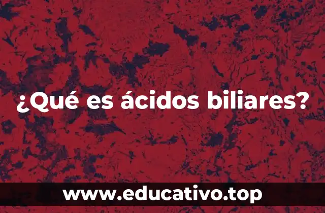 ¿Qué es ácidos biliares?