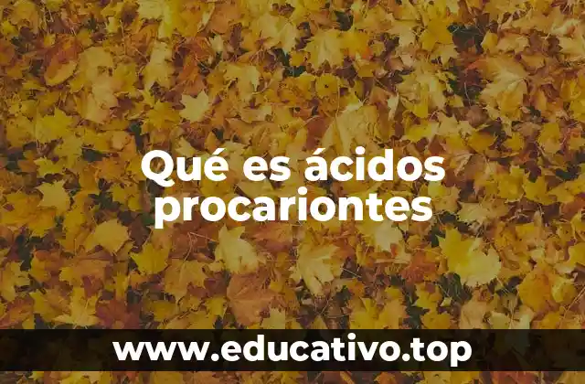 Qué es ácidos procariontes