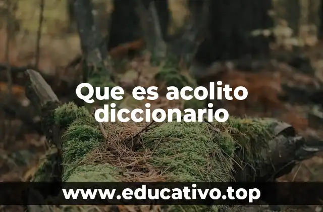 Que es acolito diccionario