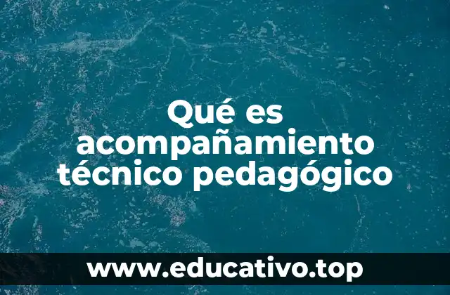 El papel del acompañante técnico pedagógico en la mejora educativa