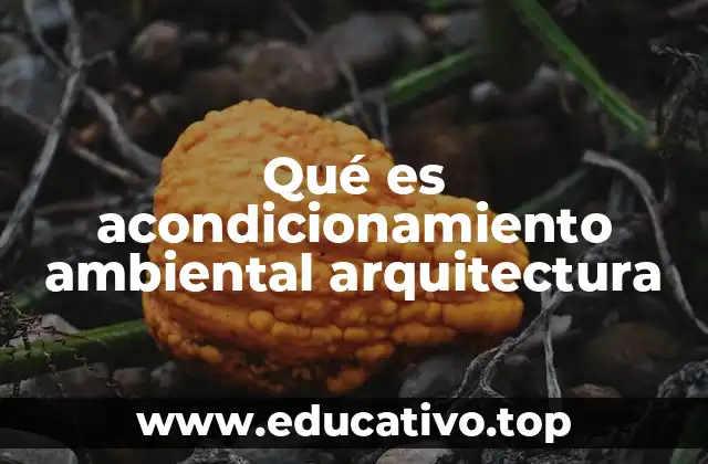 Qué es acondicionamiento ambiental arquitectura