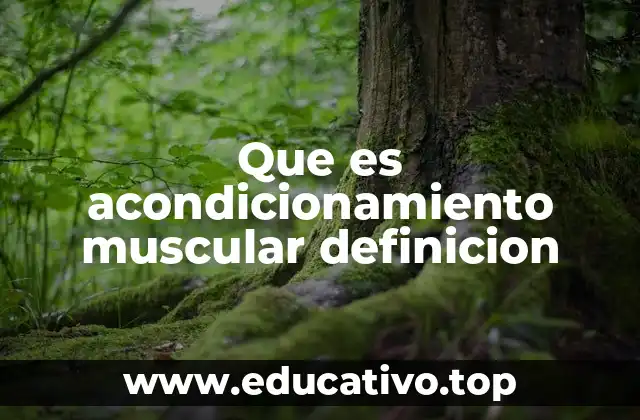 Que es acondicionamiento muscular definicion