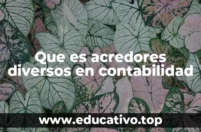 Que es acredores diversos en contabilidad