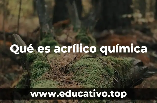 Qué es acrílico química