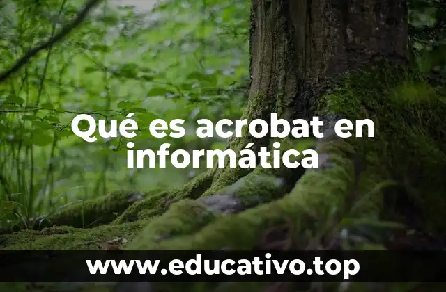 Qué es acrobat en informática