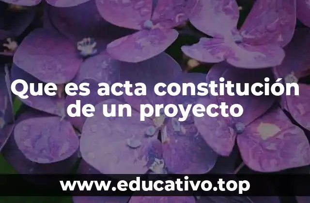 Que es acta constitución de un proyecto