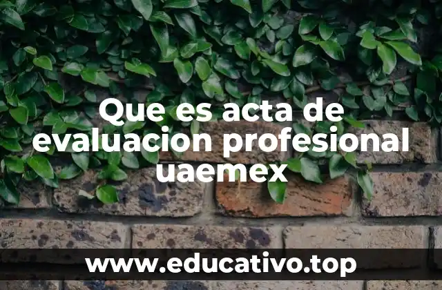 Que es acta de evaluacion profesional uaemex