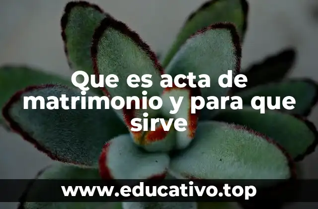 Que es acta de matrimonio y para que sirve