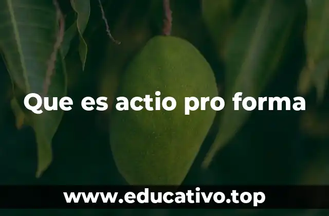 Que es actio pro forma