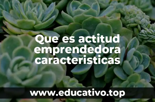Que es actitud emprendedora caracteristicas